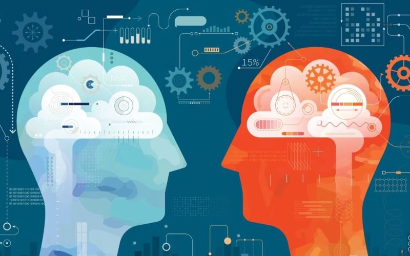 成都软件开发公司：移动应用选型密码，助力企业抢占数字先机！